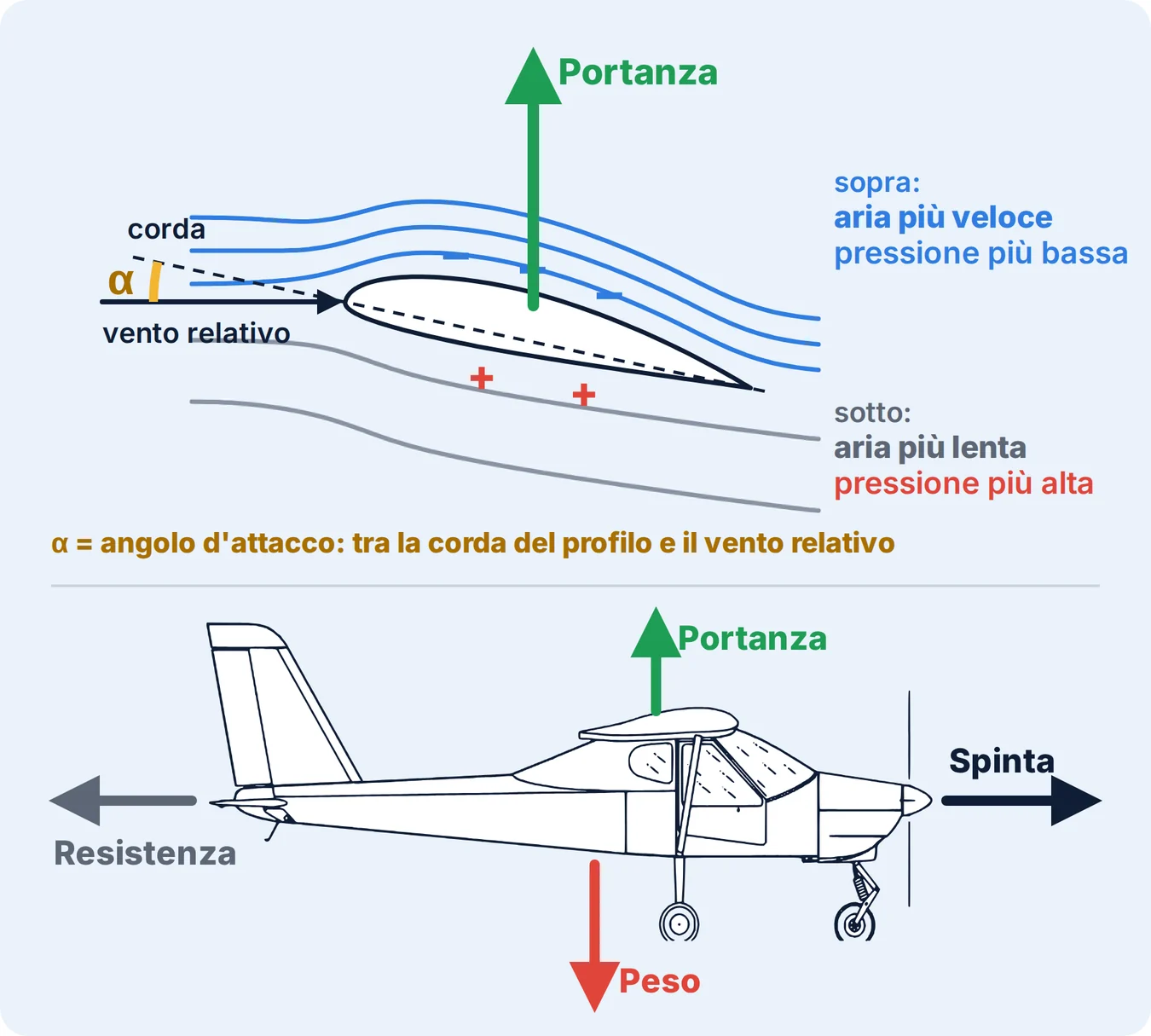 Profilo alare: sopra l’aria è più veloce e la pressione più bassa, sotto più lenta e la pressione più alta; angolo d’attacco tra la corda e il vento relativo; aereo con portanza, peso, spinta e resistenza